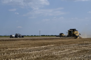 На Вінниччині намолотили понад 2 мільйони тонн ранніх зернових