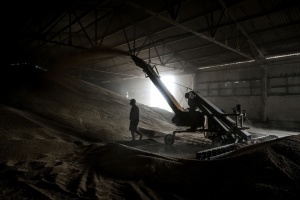 Українські аграрії вже зібрали майже 20 мільйонів тонн зерна