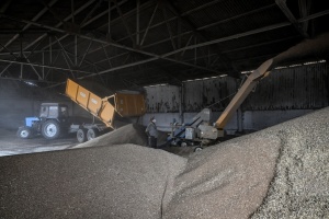 En 2025, la Russie a exporté pour 400 millions de dollars de céréales depuis les territoires ukrainiens occupés