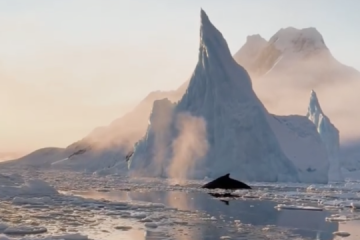 Ukrainian polar scientists share winter outing into ocean near Galindez Island