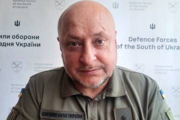 Molniia‑type loitering munitions surge in south – DF spox 