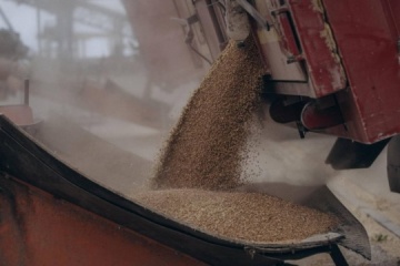 Kuleba: Ucrania transporta más de 130 millones de toneladas de carga a través del corredor marítimo