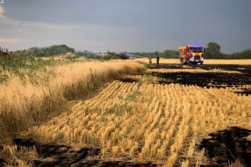 Feuer zerstört 70 ha Weizen in Region Mykolajiw