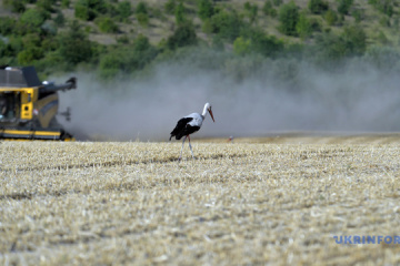 Le gouvernement ukrainien renforce son soutien aux agriculteurs dans les régions proches du front