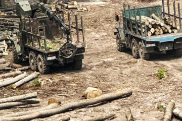 Le vol de bois à grande échelle démasqué en Ukraine