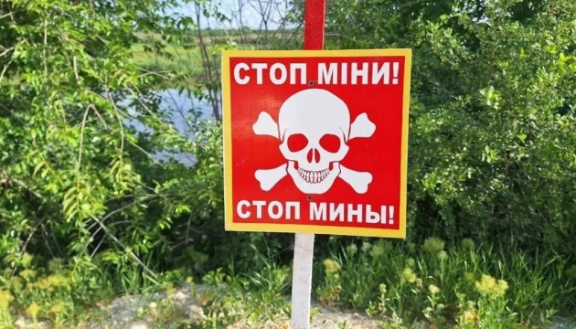 Протипіхотні міни: як допоможуть і звідки візьмуться у Сил оборони
Протипіхотні міни: як допоможуть і звідки візьмуться у Сил оборони