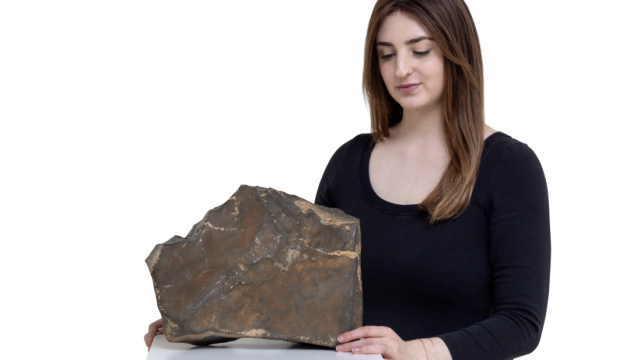 На аукціон Sotheby's виставлять 24-кілограмовий камінь з Марсу