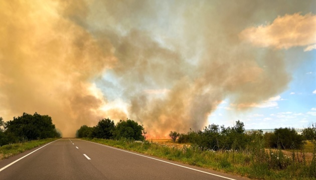 На Одещині виникла масштабна пожежа в екосистемі - горить 10 гектарів сухої трави