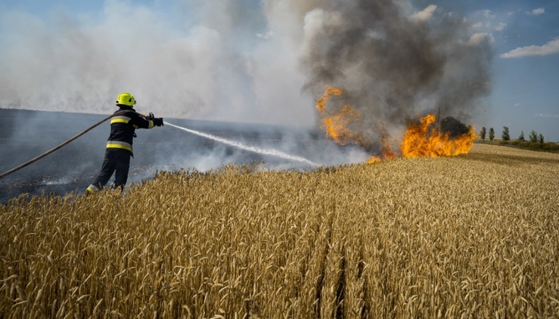 На Полтавщині пожежа знищила 130 гектарів зернових