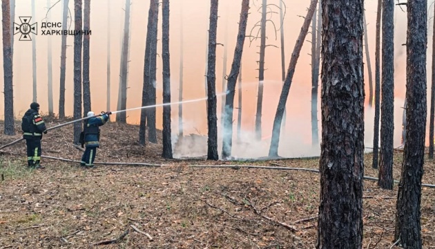 На Харківщині горить понад 110 гектарів лісу На Харківщині горить понад 110 гектарів лісу