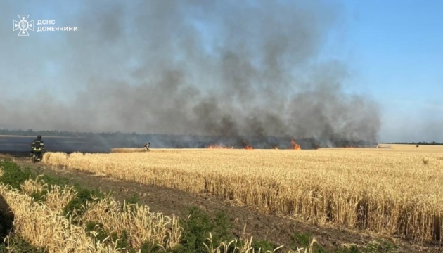 Due to shelling in Donetsk Region, 178 hectares of wheat burned down this year Due to shelling in Donetsk Region, 178 hectares of wheat burned down this year
