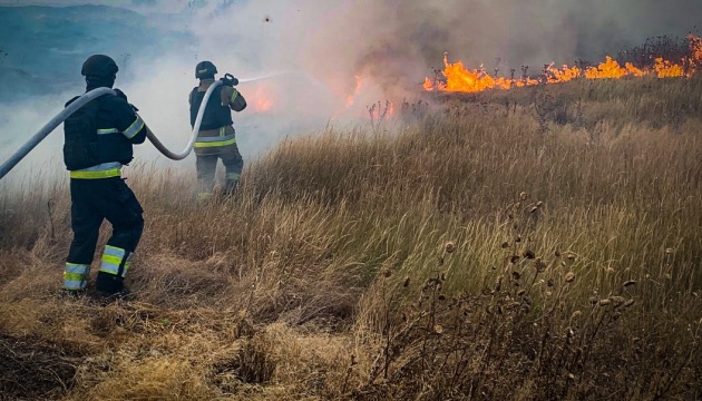 На Херсонщині росіяни скинули вибухівку з дрона на пшеничне поле На Херсонщині росіяни скинули вибухівку з дрона на пшеничне поле