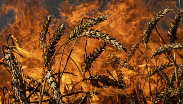 Drone strike hits combine harvester in Bilozerka, man wounded Drone strike hits combine harvester in Bilozerka, man wounded