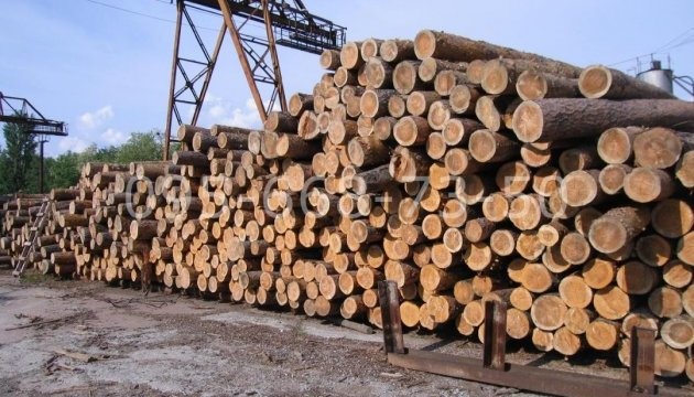 In Russland erleiden Forstwirtschaftsunternehmen aufgrund der Sanktionen Verluste