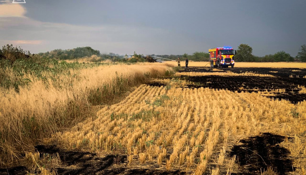 Feuer zerstört 70 ha Weizen in Region Mykolajiw