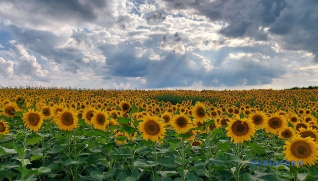 Сьогодні в Україні до +32°, подекуди короткочасні дощі й грози Сьогодні в Україні до +32°, подекуди короткочасні дощі й грози