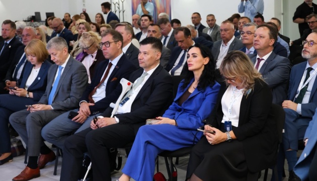 Делегація українських послів відвідала Бородянку Делегація українських послів відвідала Бородянку