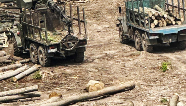 Le vol de bois à grande échelle démasqué en Ukraine Le vol de bois à grande échelle démasqué en Ukraine