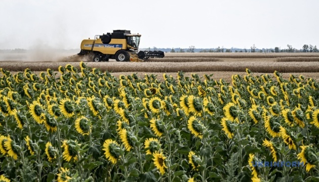 В Україні вже зібрали майже 28,4 мільйона тонн зернових 