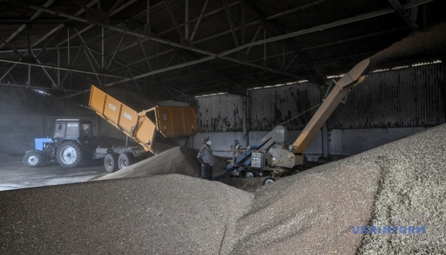 En 2025, la Russie a exporté pour 400 millions de dollars de céréales depuis les territoires ukrainiens occupés