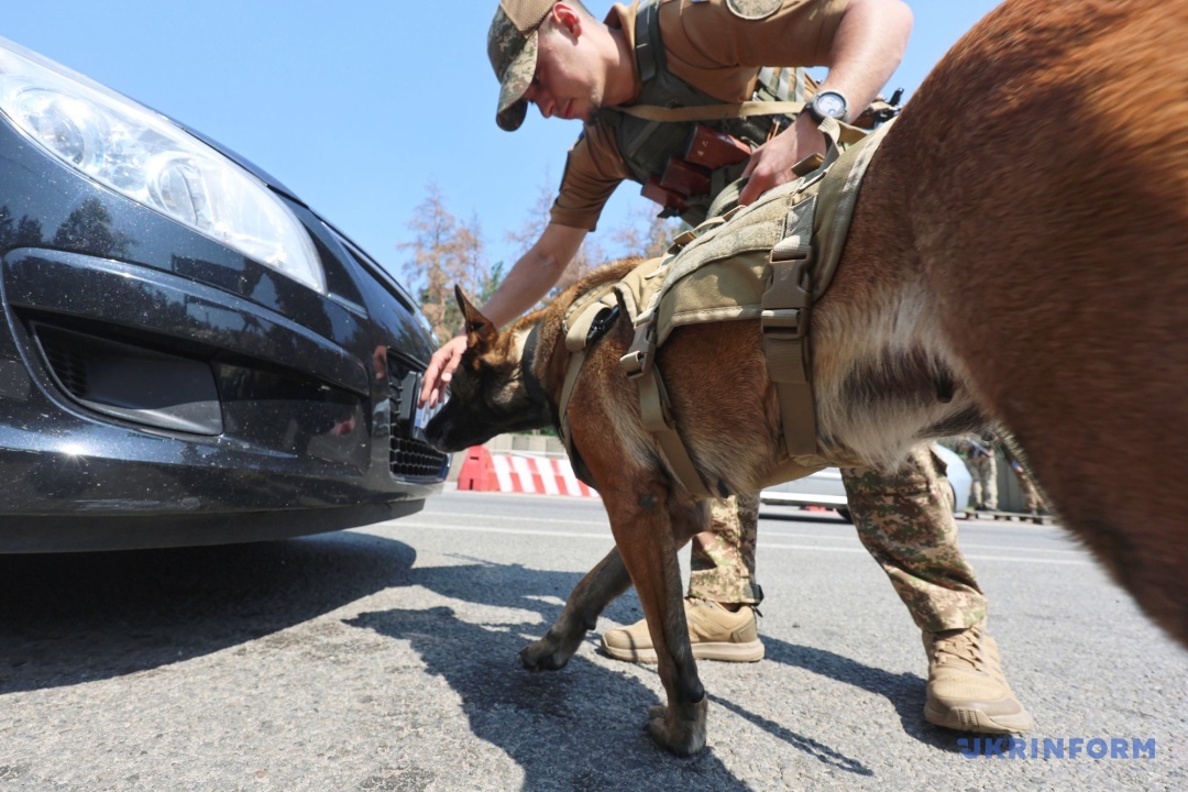 Фото: В’ячеслав Мадієвський