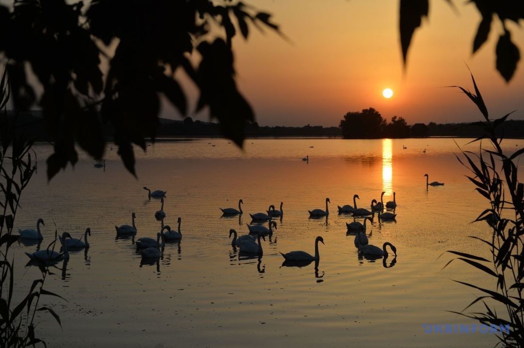 Фото: Олександр Клименко