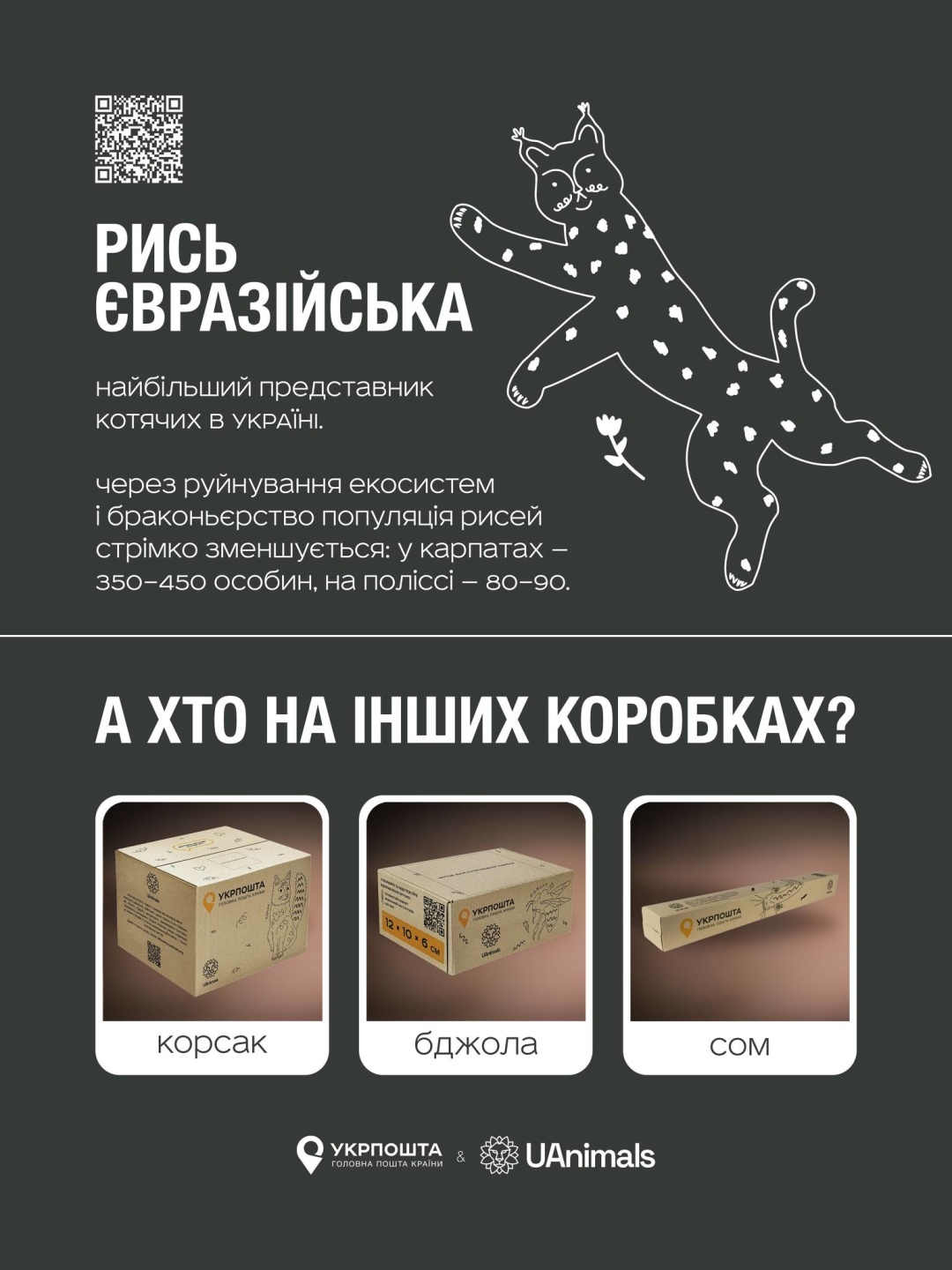 Укрпошта запустила серію коробок із зображенням тварин