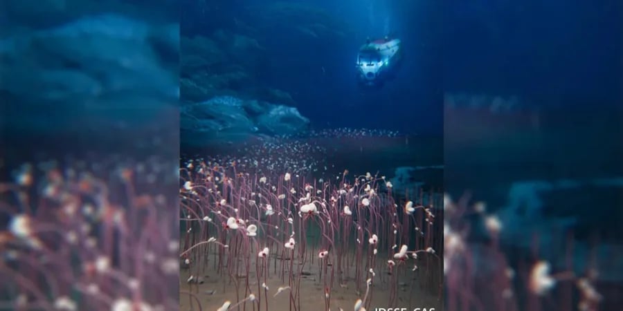 Фото: IDSSE, CAS Фото: IDSSE, CAS