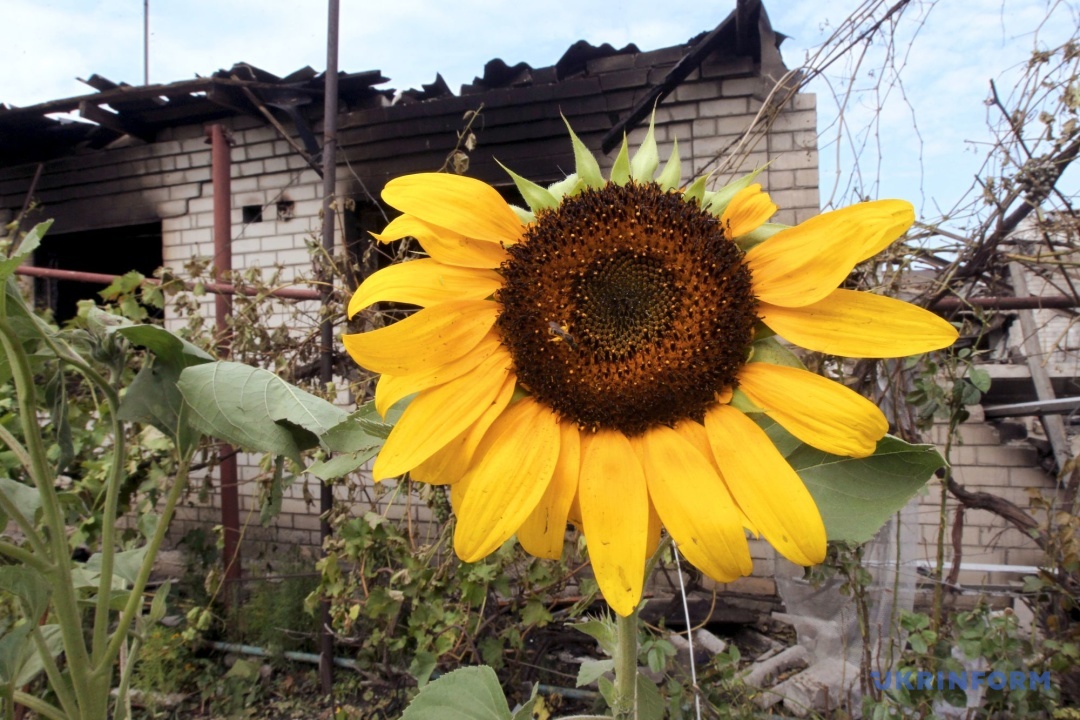 Фото: Микола М’якшиков