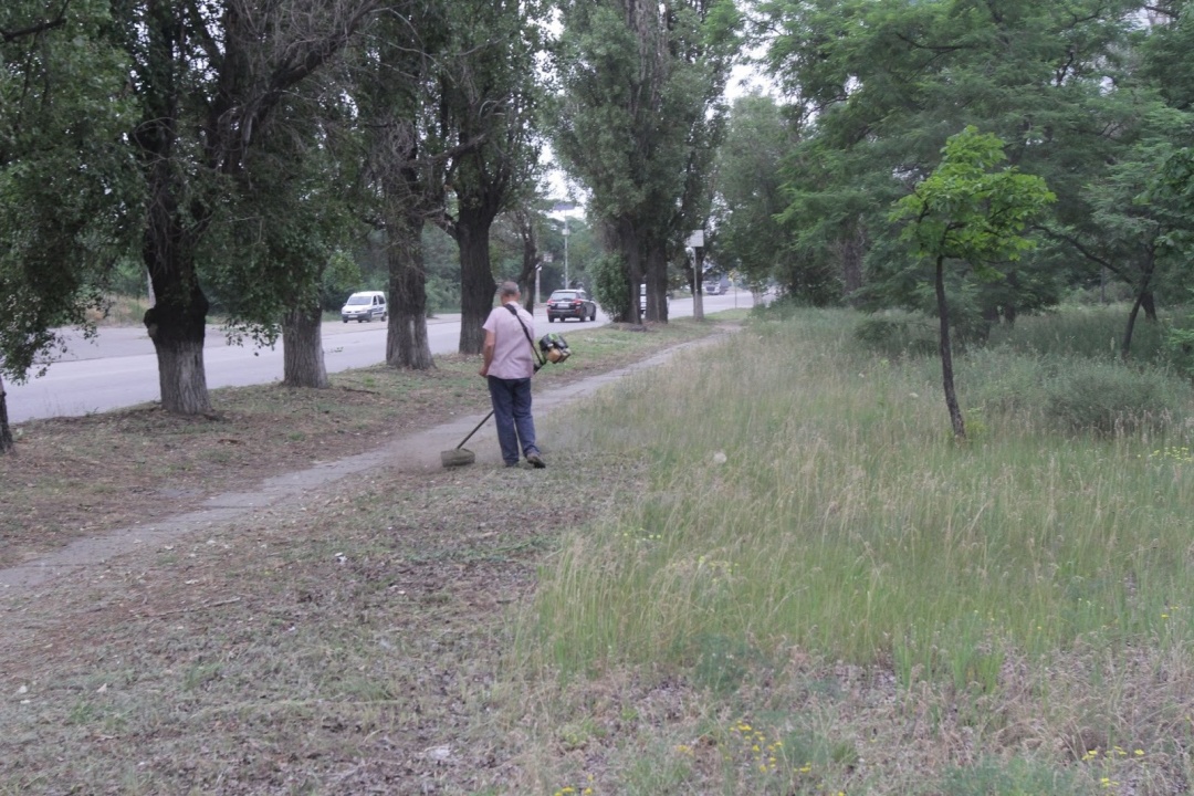 Скошування ділянок в Дніпрі. Всохла трава та жива амброзія. Фото: Укрінформ