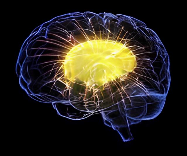 Фото: shutterstock.com