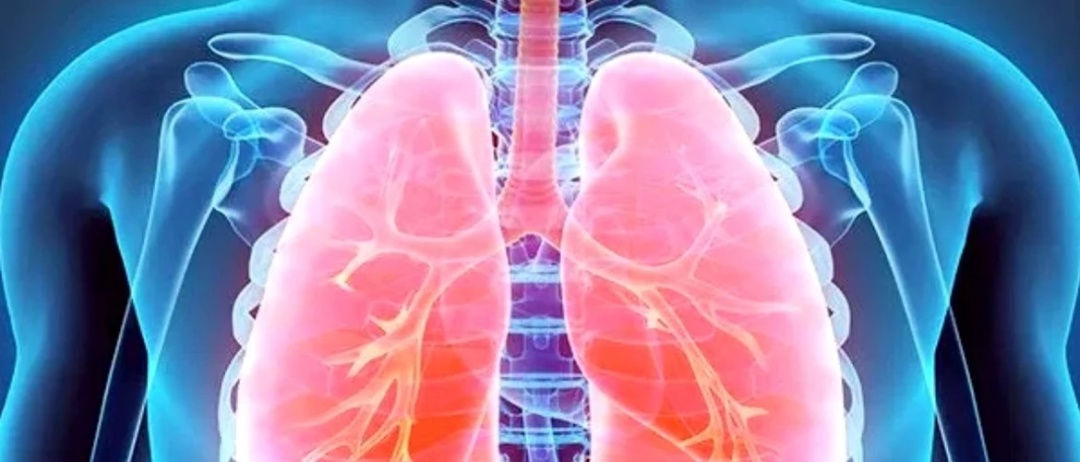 Фото: romaniatv.net