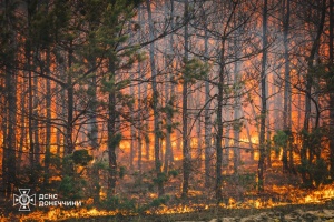 На Донеччині ліквідували масштабну лісову пожежу, спричинену російськими обстрілами