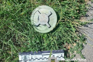 У Києві на дитячому майданчику виявили макет протипіхотної міни