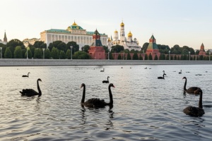 Москва-ріка у передчутті зграї «чорних лебедів»
