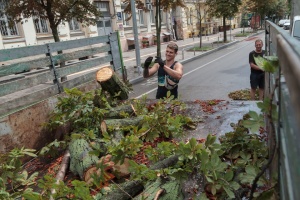 Негода у Києві: півмісячна норма дощу, підтоплені дороги та повалені дерева
