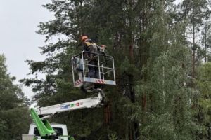 На Київщині внаслідок негоди без світла залишилось 60 тисяч клієнтів