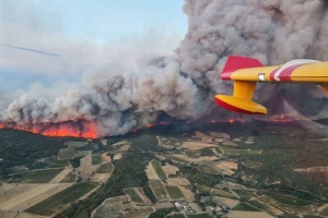 У Франції спалахнула найбільша лісова пожежа за майже 80 років