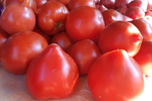 В Україні через брак пропозиції подорожчали тепличні помідори