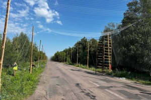 На Сумщині облаштували десятки кілометрів антидронового укриття для захисту доріг