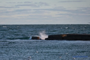 Three killed by exploding objects while swimming in sea in Odesa region