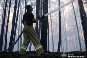 На Миколаївщині майже добу гасять масштабну лісову пожежу