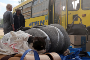 Nearly 218,000 people in Donetsk region require evacuation