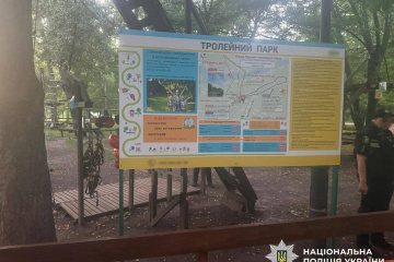 У Києві на канатній дорозі травмувалися двоє дітей