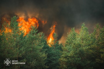 Large forest fire from Russian shelling extinguished in Donetsk region