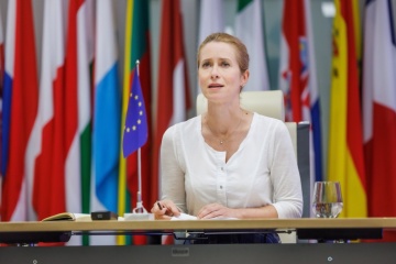 Top diplomats support US steps towards just peace in Ukraine - Kallas