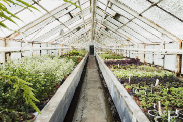 Le gouvernement ukrainien renforce le soutien aux agriculteurs dans les zones proches du front