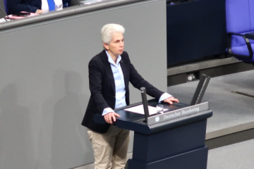 Peace no closer, EU and partners must go their own way – MEP