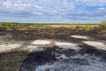 Incendie à Zaporijjia suite à des bombardements : 11 hectares ont été incendiés et une femme a été tuée.