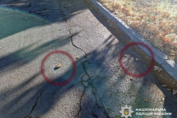 ウクライナ南部ヘルソン市内でロシア軍散布の「花びら地雷」発見